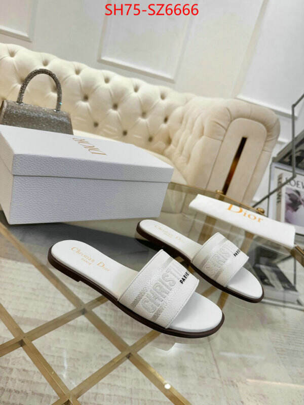 Women Shoes-Dior can you buy replica ID: SZ6666 $: 75USD