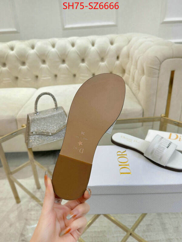 Women Shoes-Dior can you buy replica ID: SZ6666 $: 75USD