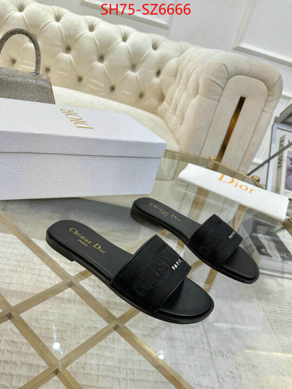 Women Shoes-Dior can you buy replica ID: SZ6666 $: 75USD