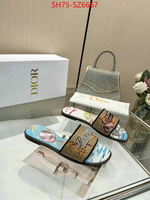 Women Shoes-Dior sale outlet online ID: SZ6667 $: 75USD