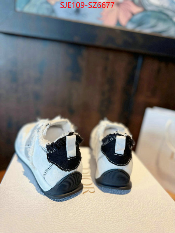 Women Shoes-Dior how to start selling replica ID: SZ6677 $: 109USD