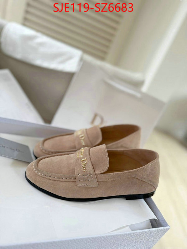 Women Shoes-Dior online shop ID: SZ6683 $: 119USD