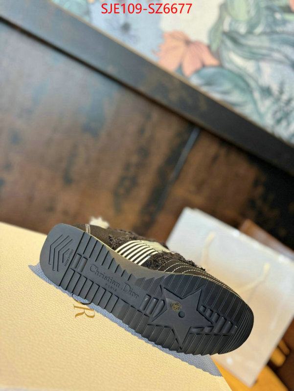 Women Shoes-Dior how to start selling replica ID: SZ6677 $: 109USD