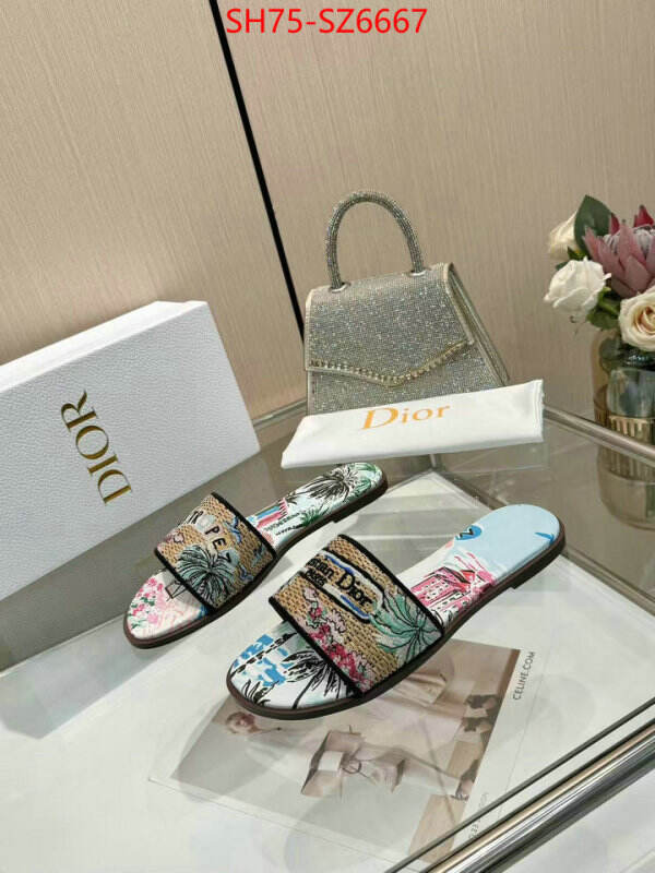 Women Shoes-Dior sale outlet online ID: SZ6667 $: 75USD