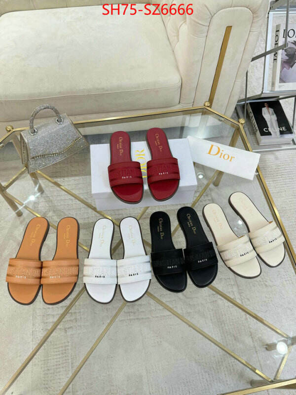 Women Shoes-Dior can you buy replica ID: SZ6666 $: 75USD