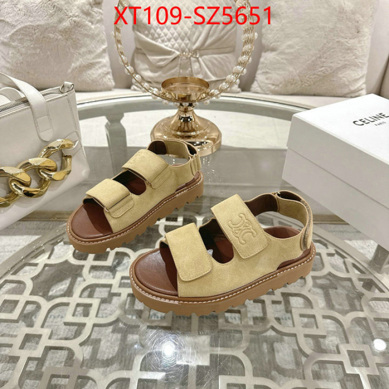 Women Shoes-CELINE top fake designer ID: SZ5651 $: 109USD
