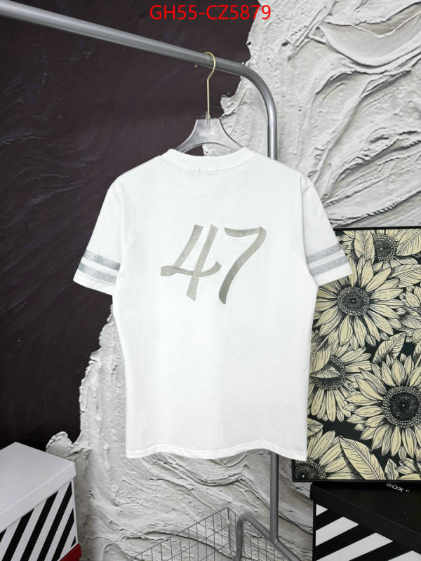Clothing-Dior 7 star quality designer replica ID: CZ5879 $: 55USD