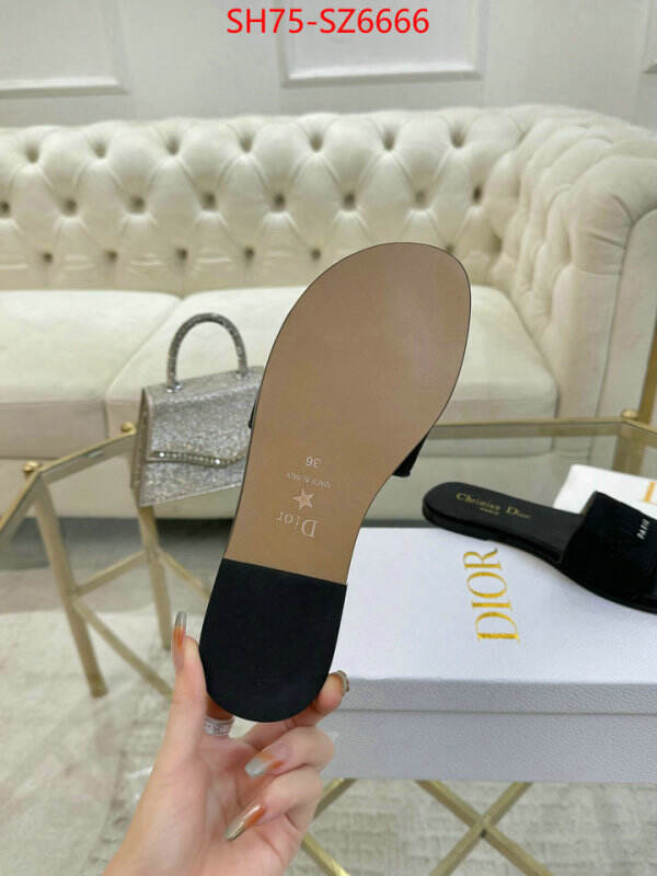 Women Shoes-Dior can you buy replica ID: SZ6666 $: 75USD