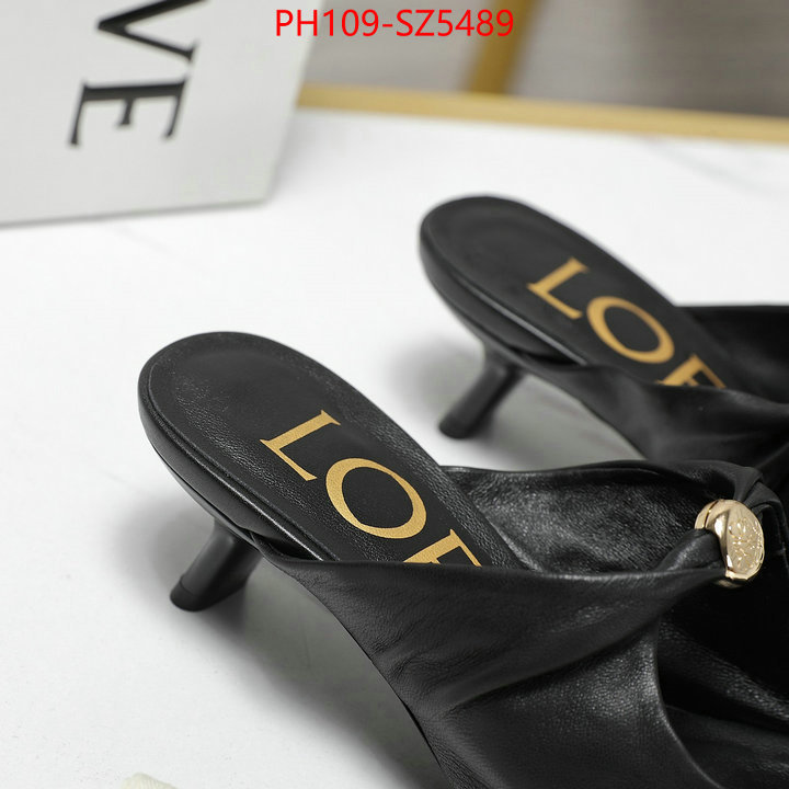 Women Shoes-Loewe best fake ID: SZ5489 $: 109USD