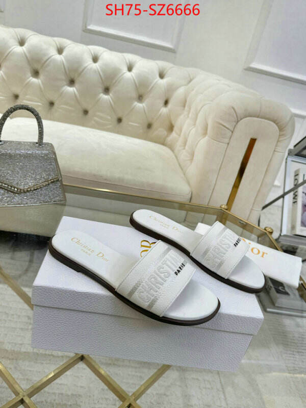Women Shoes-Dior can you buy replica ID: SZ6666 $: 75USD