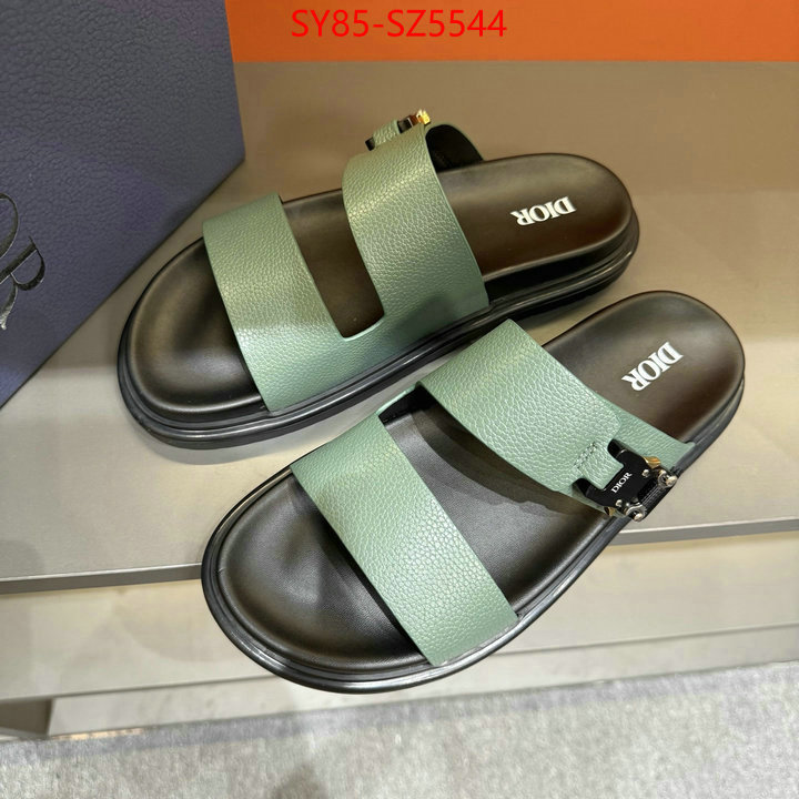 Men shoes-Dior copy aaaaa ID: SZ5544 $: 85USD