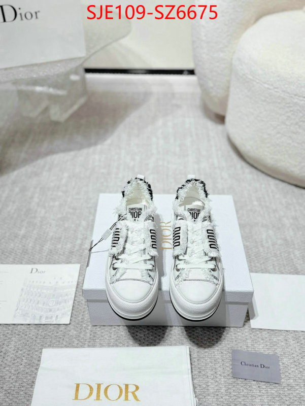 Women Shoes-Dior mirror copy luxury ID: SZ6675 $: 109USD
