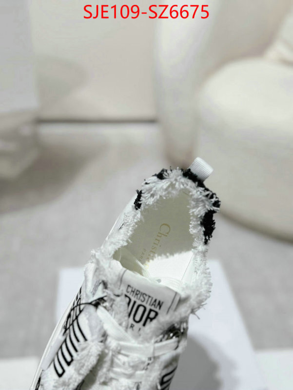 Women Shoes-Dior mirror copy luxury ID: SZ6675 $: 109USD