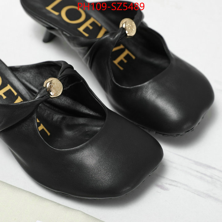 Women Shoes-Loewe best fake ID: SZ5489 $: 109USD
