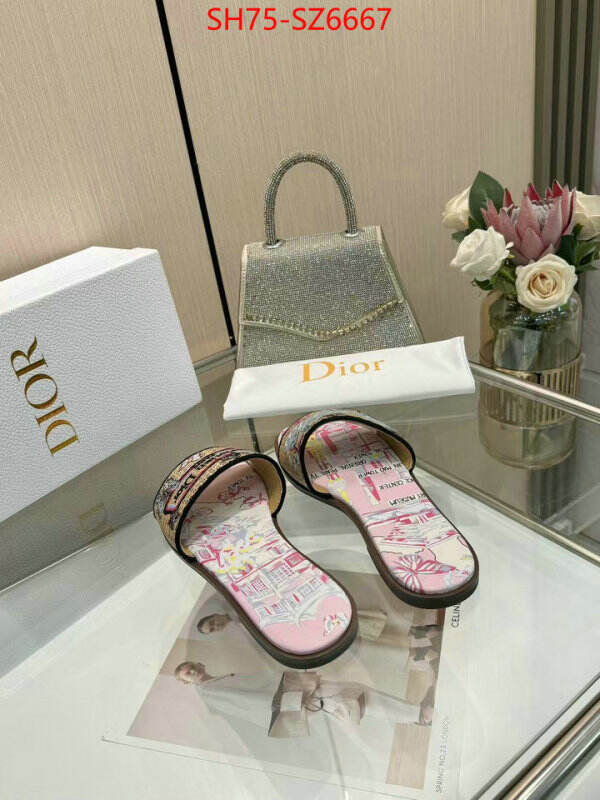 Women Shoes-Dior sale outlet online ID: SZ6667 $: 75USD