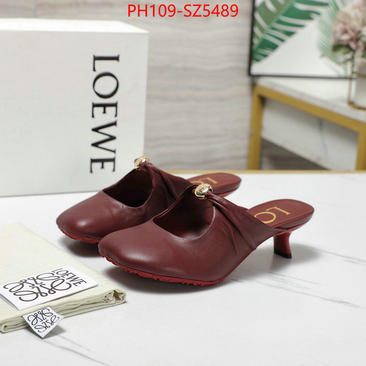 Women Shoes-Loewe best fake ID: SZ5489 $: 109USD