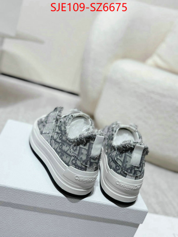 Women Shoes-Dior mirror copy luxury ID: SZ6675 $: 109USD