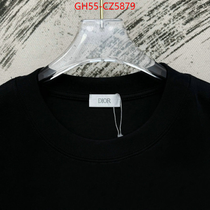 Clothing-Dior 7 star quality designer replica ID: CZ5879 $: 55USD
