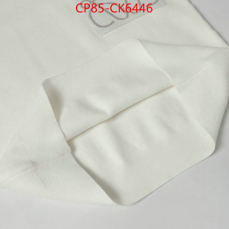 Clothing-Loewe shop ID: CK6446 $: 85USD