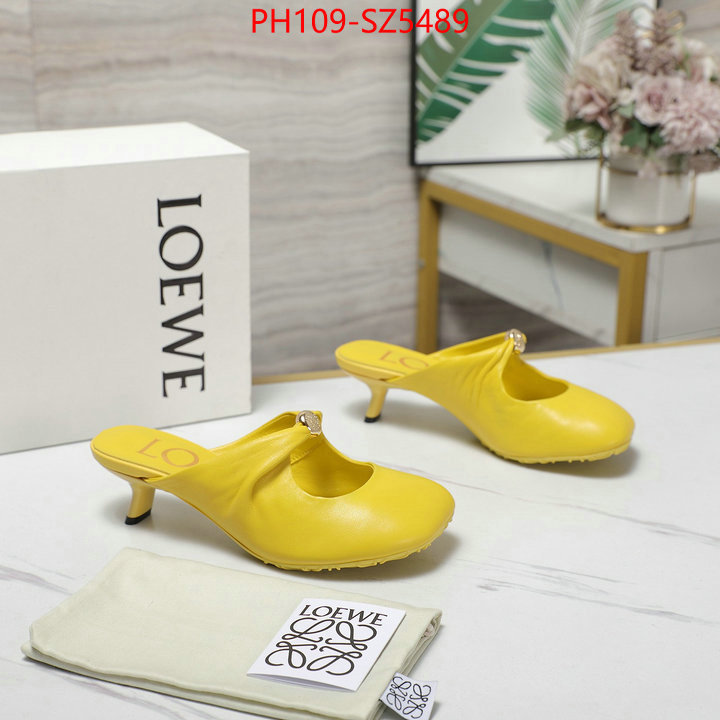 Women Shoes-Loewe best fake ID: SZ5489 $: 109USD