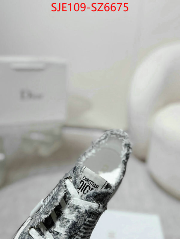 Women Shoes-Dior mirror copy luxury ID: SZ6675 $: 109USD