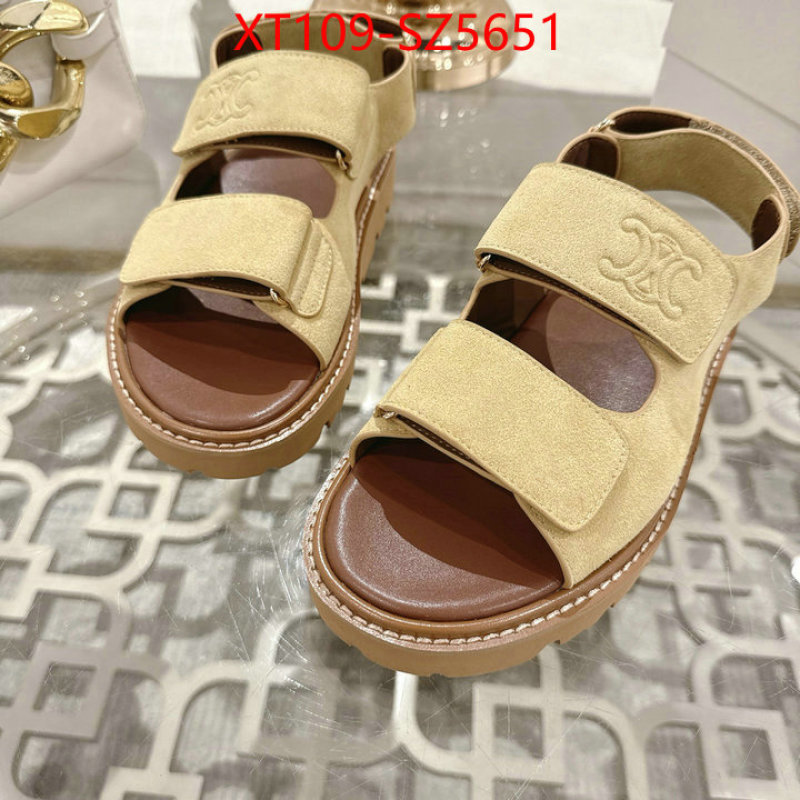 Women Shoes-CELINE top fake designer ID: SZ5651 $: 109USD