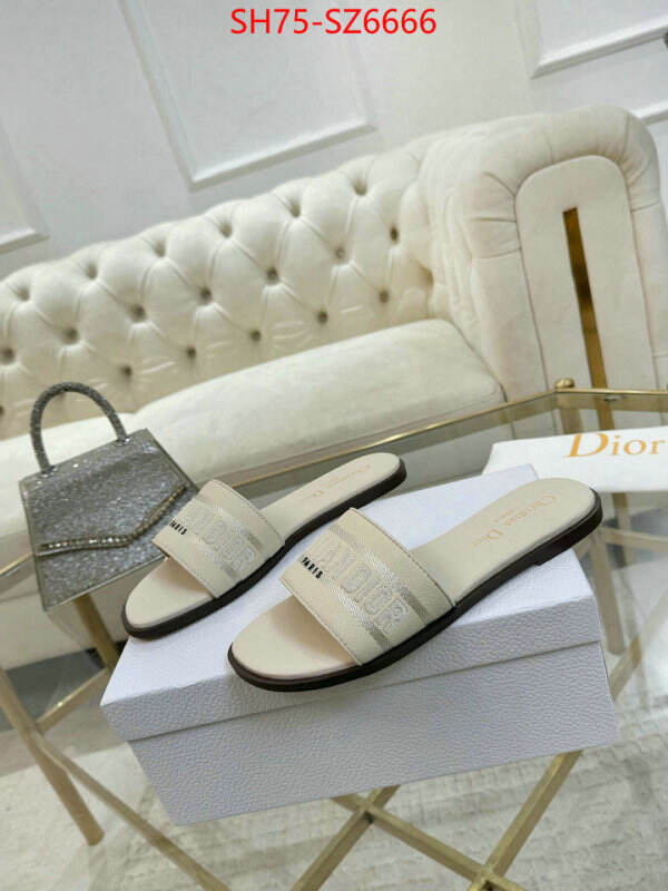 Women Shoes-Dior can you buy replica ID: SZ6666 $: 75USD