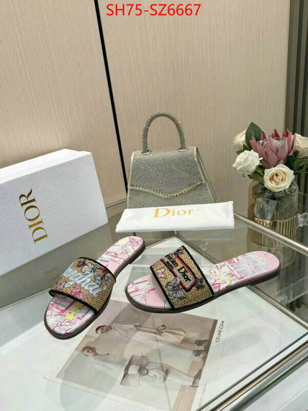 Women Shoes-Dior sale outlet online ID: SZ6667 $: 75USD
