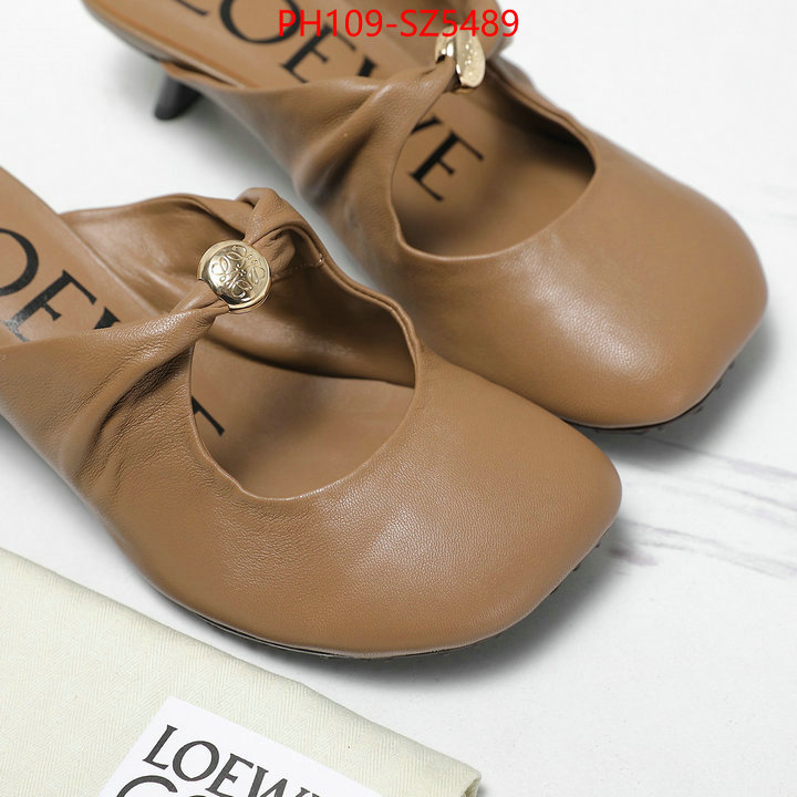 Women Shoes-Loewe best fake ID: SZ5489 $: 109USD