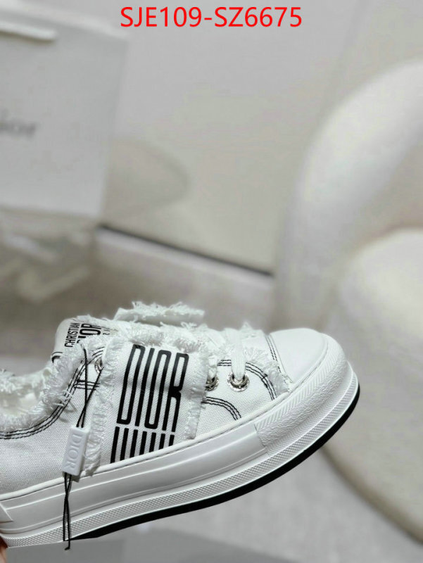 Women Shoes-Dior mirror copy luxury ID: SZ6675 $: 109USD