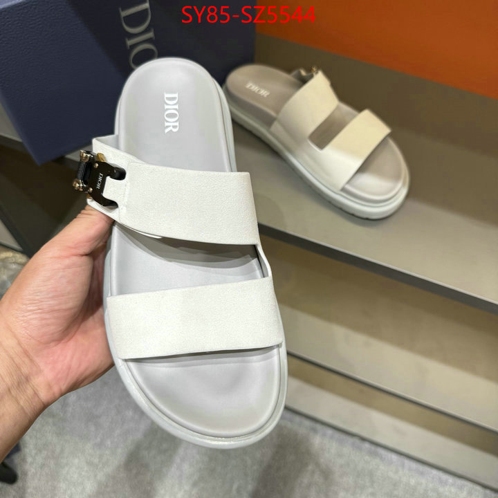 Men shoes-Dior copy aaaaa ID: SZ5544 $: 85USD