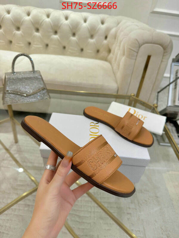 Women Shoes-Dior can you buy replica ID: SZ6666 $: 75USD