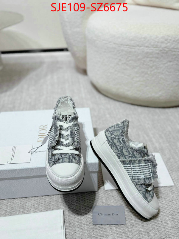 Women Shoes-Dior mirror copy luxury ID: SZ6675 $: 109USD
