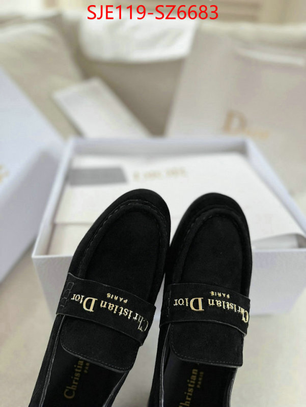 Women Shoes-Dior online shop ID: SZ6683 $: 119USD