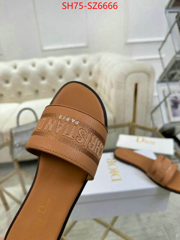 Women Shoes-Dior can you buy replica ID: SZ6666 $: 75USD