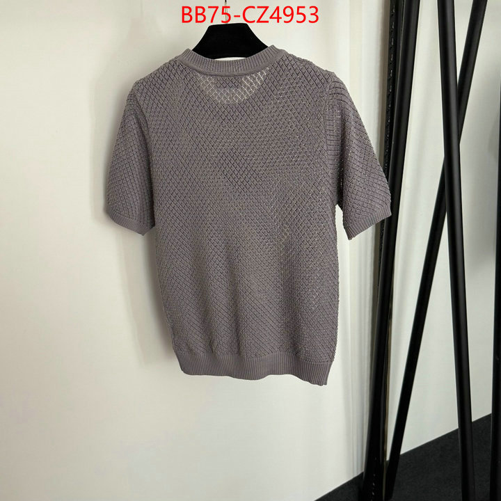 Clothing-MIU MIU cheap wholesale ID: CZ4953 $: 75USD