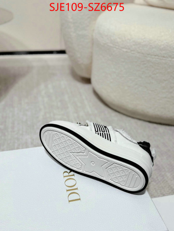 Women Shoes-Dior mirror copy luxury ID: SZ6675 $: 109USD