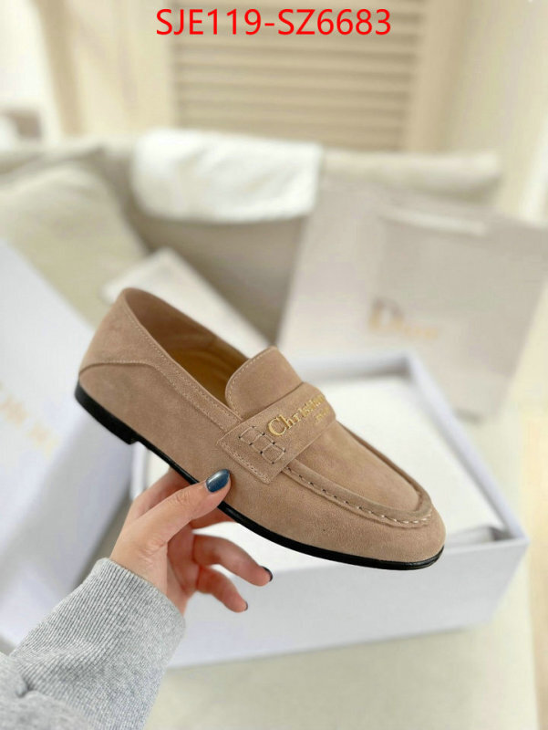 Women Shoes-Dior online shop ID: SZ6683 $: 119USD