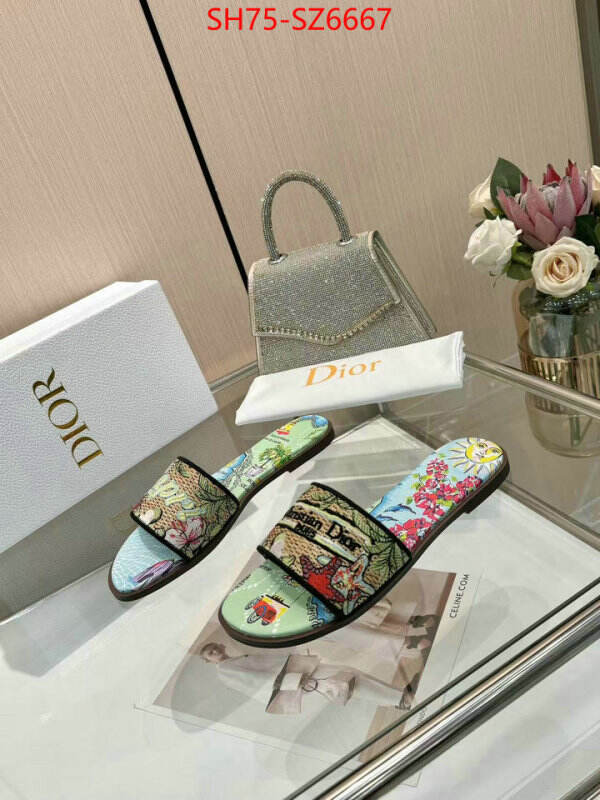 Women Shoes-Dior sale outlet online ID: SZ6667 $: 75USD