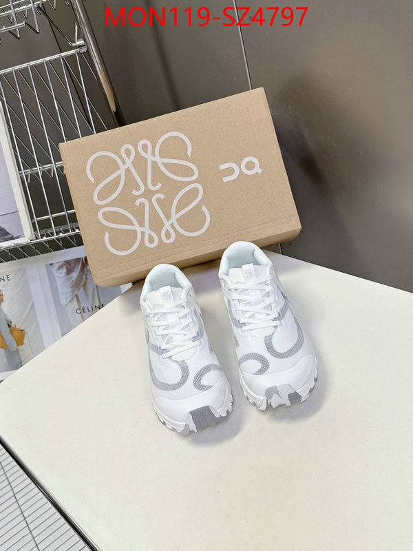 Women Shoes-Loewe online ID: SZ4797 $: 119USD