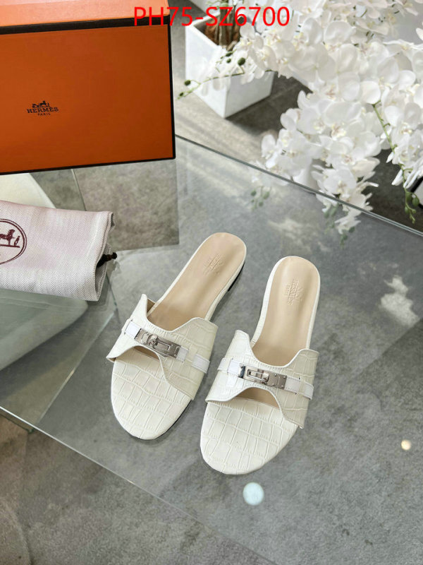 Women Shoes-Hermes cheap wholesale ID: SZ6700 $: 75USD