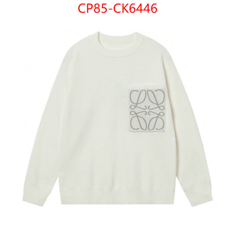 Clothing-Loewe shop ID: CK6446 $: 85USD