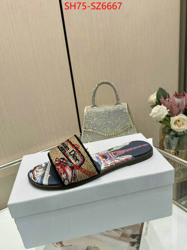 Women Shoes-Dior sale outlet online ID: SZ6667 $: 75USD