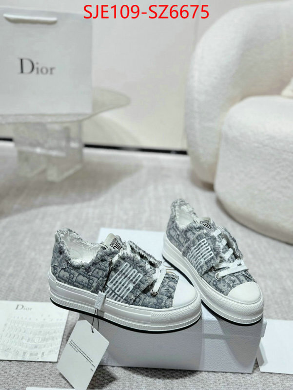 Women Shoes-Dior mirror copy luxury ID: SZ6675 $: 109USD