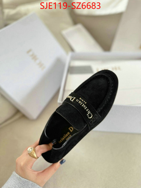 Women Shoes-Dior online shop ID: SZ6683 $: 119USD
