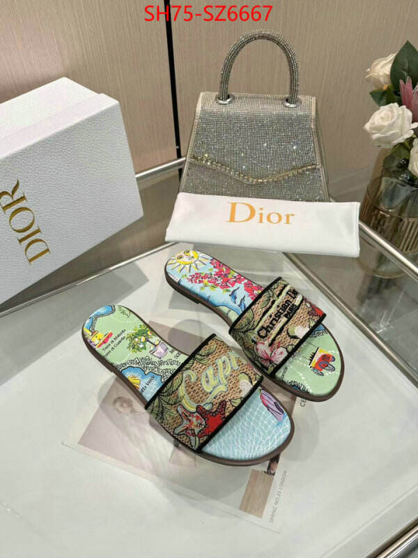 Women Shoes-Dior sale outlet online ID: SZ6667 $: 75USD