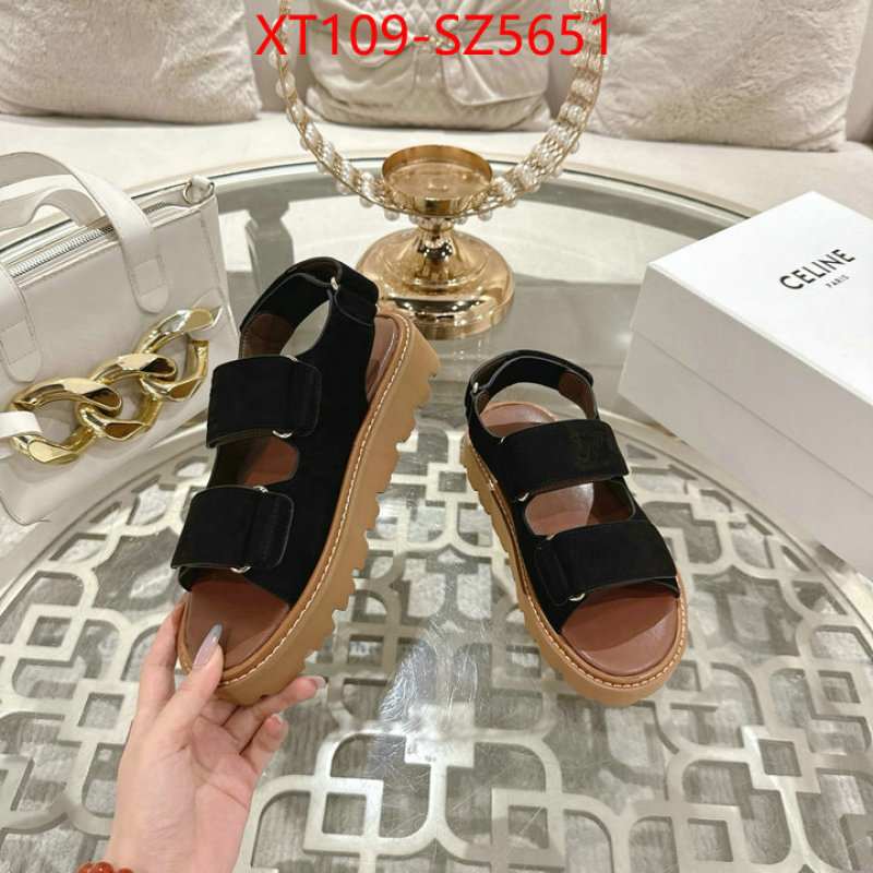 Women Shoes-CELINE top fake designer ID: SZ5651 $: 109USD