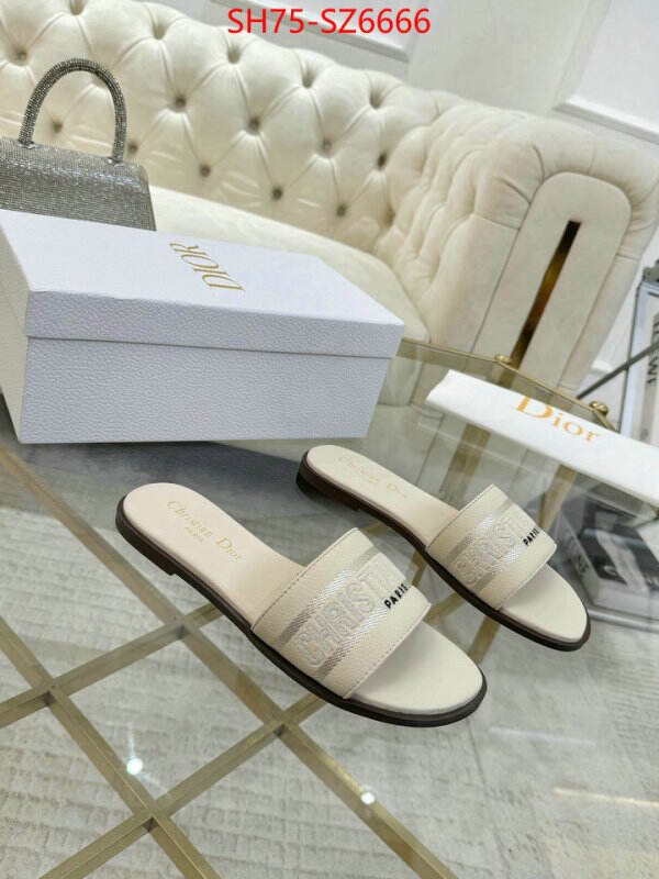 Women Shoes-Dior can you buy replica ID: SZ6666 $: 75USD
