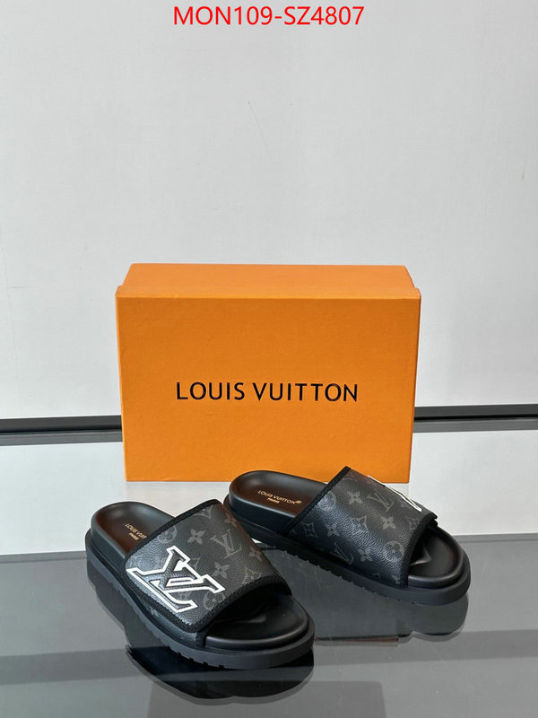 Men Shoes-LV are you looking for ID: SZ4807 $: 109USD
