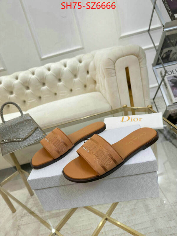 Women Shoes-Dior can you buy replica ID: SZ6666 $: 75USD